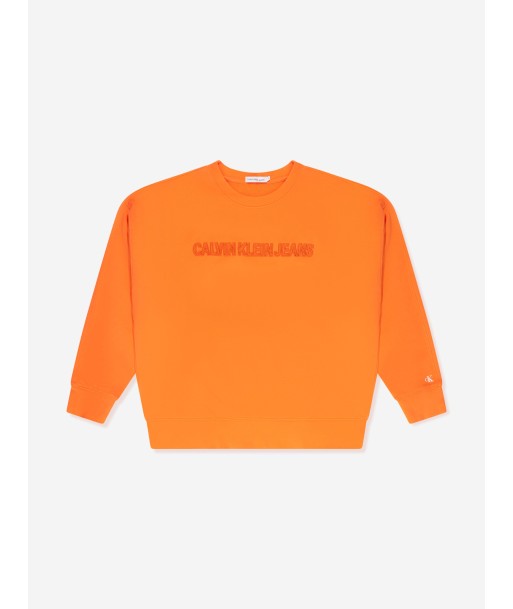 Calvin Klein Boys Raised Embroidered Sweatshirt in Orange suggérées chez