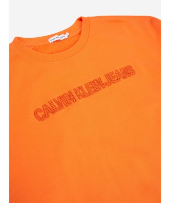 Calvin Klein Boys Raised Embroidered Sweatshirt in Orange suggérées chez