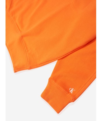 Calvin Klein Boys Raised Embroidered Sweatshirt in Orange suggérées chez